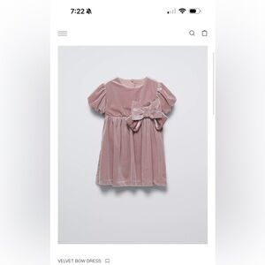 Zara Toddler Paster Pink Velvet Bow Dress: Size 2y
